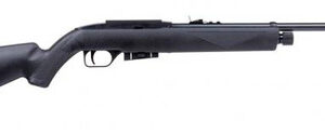 CROSMAN REPEATAIR 1077